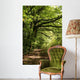 forest path Wall Mural
