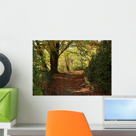 Path Wall Decal Design 5