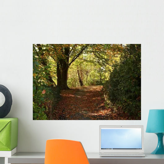 Path Wall Decal Design 5