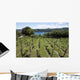 Vineyards Overlooking Lake Maggiore