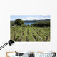 Vineyards Overlooking Lake Maggiore