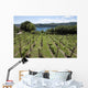 Vineyards Overlooking Lake Maggiore