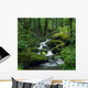 Mossy Waterfall Wall Mural