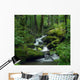 Mossy Waterfall Wall Mural