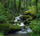 Mossy Waterfall Wall Mural