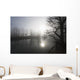 Sunlight Reflecting On Tranquil Water Wall Mural