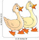 Ducks Wall Decal