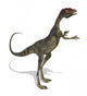 Compsognathus Dinosaur Wall Decal