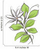 Tahitian Tiare - vector flower Wall Decal