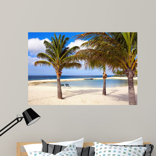 Aruba Wall Mural