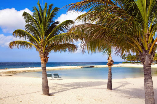 Aruba Wall Mural