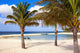 Aruba Wall Mural