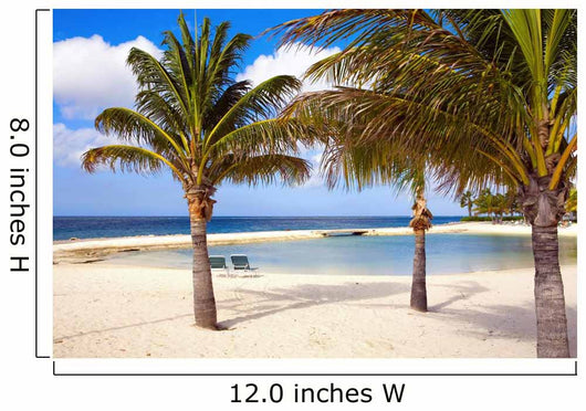 Aruba Wall Mural