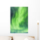 Northern Lights In The Sky Above The Chena Lakes Recreation Area Wall Mural