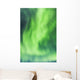 Northern Lights In The Sky Above The Chena Lakes Recreation Area Wall Mural