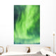 Northern Lights In The Sky Above The Chena Lakes Recreation Area Wall Mural