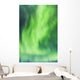 Northern Lights In The Sky Above The Chena Lakes Recreation Area Wall Mural