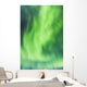 Northern Lights In The Sky Above The Chena Lakes Recreation Area Wall Mural