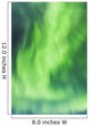 Northern Lights In The Sky Above The Chena Lakes Recreation Area Wall Mural