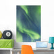 Northern Lights In The Sky Above The Chena Lakes Recreation Area Wall Mural