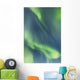 Northern Lights In The Sky Above The Chena Lakes Recreation Area Wall Mural