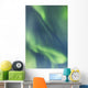 Northern Lights In The Sky Above The Chena Lakes Recreation Area Wall Mural