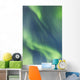 Northern Lights In The Sky Above The Chena Lakes Recreation Area Wall Mural