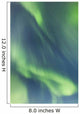 Northern Lights In The Sky Above The Chena Lakes Recreation Area Wall Mural