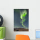 Northern Lights Above Eagle Summit And Pinelle Mountain Range Wall Mural