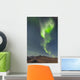 Northern Lights Above Eagle Summit And Pinelle Mountain Range Wall Mural