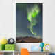 Northern Lights Above Eagle Summit And Pinelle Mountain Range Wall Mural