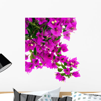 Bougainvillea Flowers Wall Decal shown on a wall