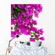Bougainvillea Flowers Wall Decal
