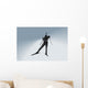 Biathlon Wall Mural