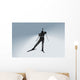 Biathlon Wall Mural