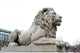 Lion Statue Wall Mural