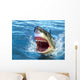 Shark Attack Wall Mural