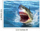 Shark Attack Wall Mural