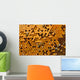 Honeycombs with Pergo and brood Wall Mural