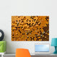 Honeycombs with Pergo and brood Wall Mural