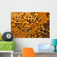 Honeycombs with Pergo and brood Wall Mural