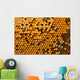 Honeycombs with Pergo and brood Wall Mural