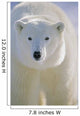 Polar Bear, Churchill, Manitoba, Canada. Wall Mural