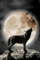 Wolf Howling at the Moon Wall Mural