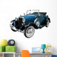 Beautiful Vintage Wall Decal