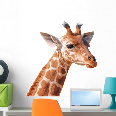 Clipping Head Young Giraffe shown on a wall