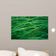 700-01173361 Wall Mural