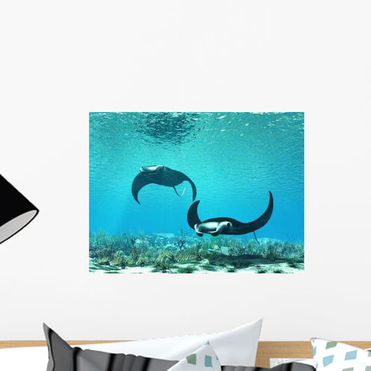 Ray Wall Decal Design 2