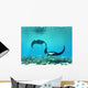 Ray Wall Decal Design 2