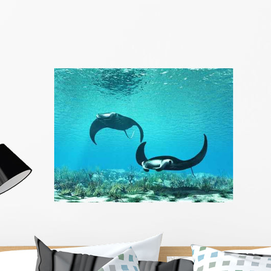 Ray Wall Decal Design 2